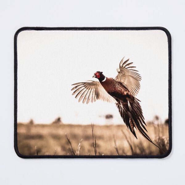 Item preview, Pheasant (Phasianus colchicus) designed and sold by chris2766.