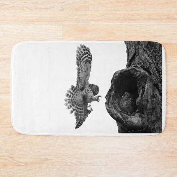 Item preview, Mama Barred owl flying back to its baby designed and sold by Puttaswamy Ravishankar.