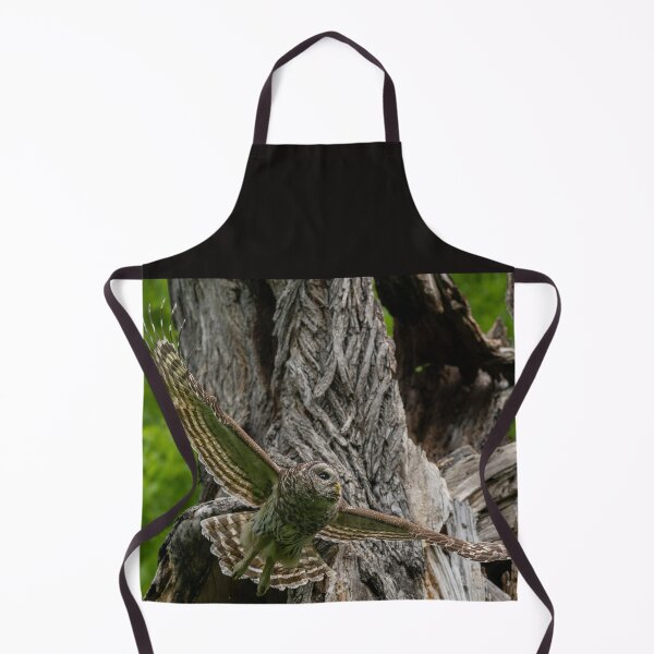 Item preview, Mama Barred owl getting ready to hunt designed and sold by Puttaswamy Ravishankar.