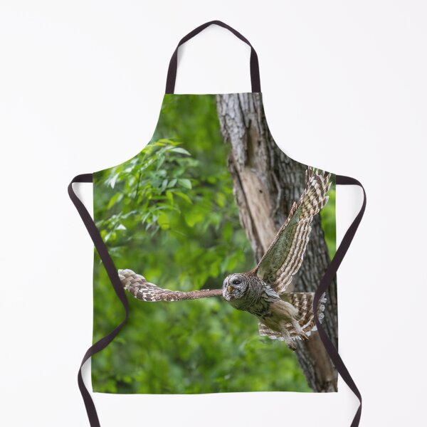 Item preview, Mama Barred Owl in Hunting Mode designed and sold by Puttaswamy Ravishankar.