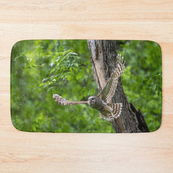 Item preview, Mama Barred Owl in Hunting Mode designed and sold by Puttaswamy Ravishankar.