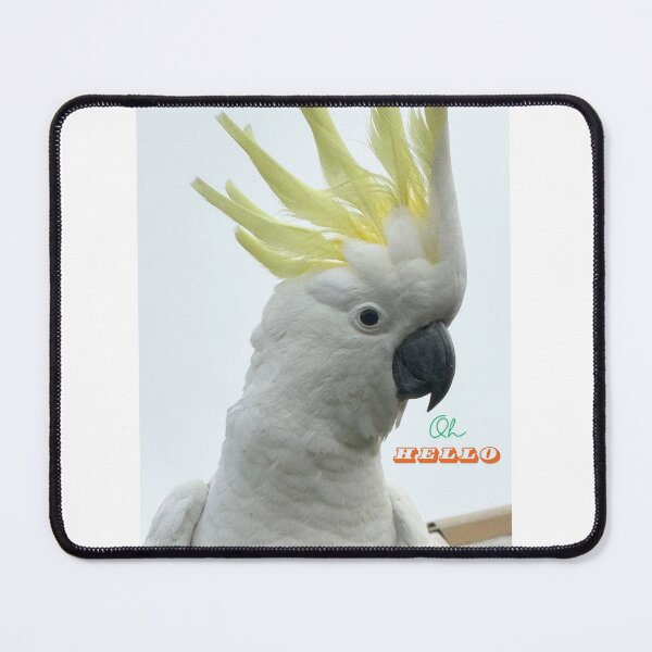 Item preview, Oh hello designed and sold by AliciaSanson.