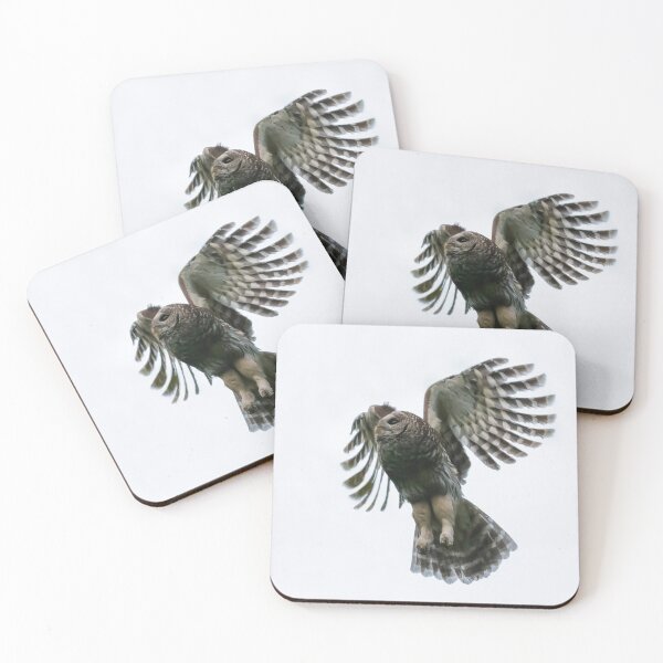 Item preview, Barred Owl Flight Patterns designed and sold by Puttaswamy Ravishankar.