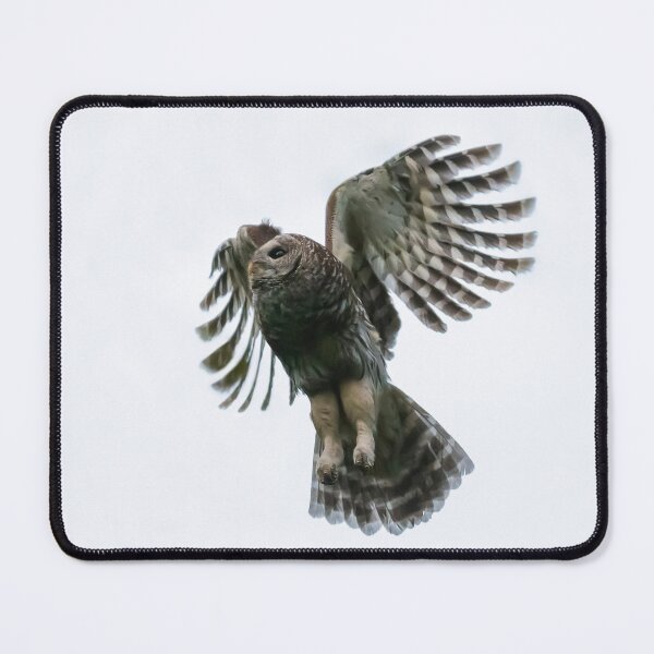Item preview, Barred Owl Flight Patterns designed and sold by Puttaswamy Ravishankar.