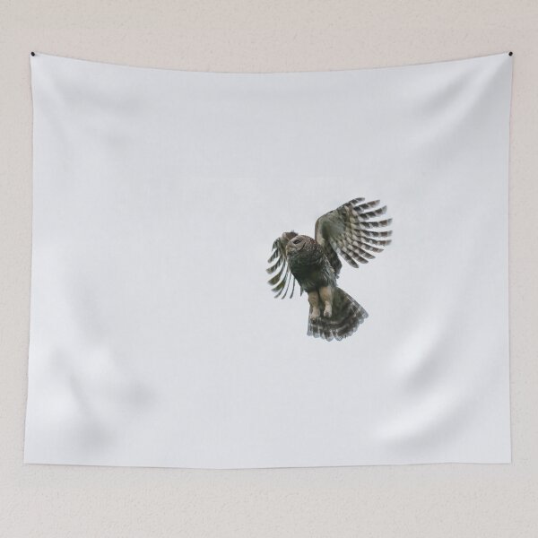 Item preview, Barred Owl Flight Patterns designed and sold by Puttaswamy Ravishankar.