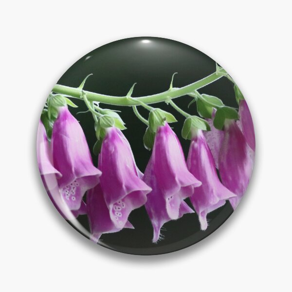 Item preview, Fogxglove blooms [Digitalis] designed and sold by Bird22Shot.