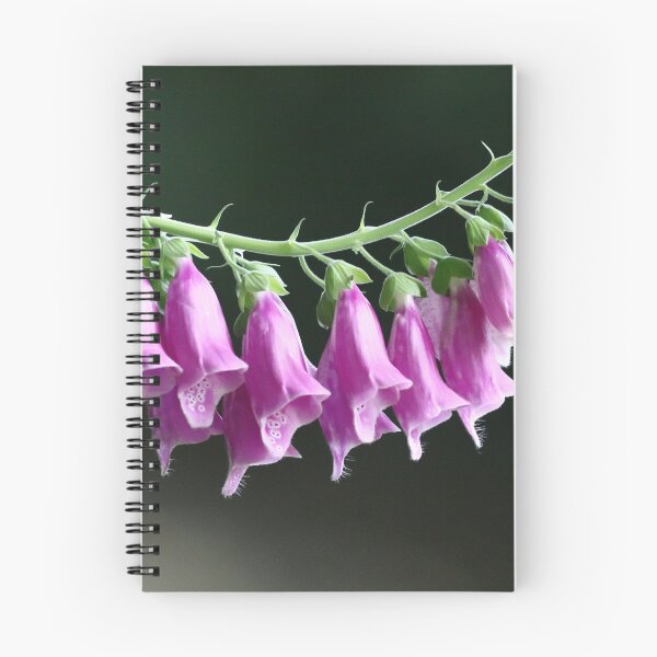 Item preview, Fogxglove blooms [Digitalis] designed and sold by Bird22Shot.