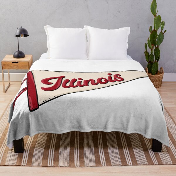 Item preview, Vintage Illinois Pennant Flag designed and sold by Alexandra Jones.
