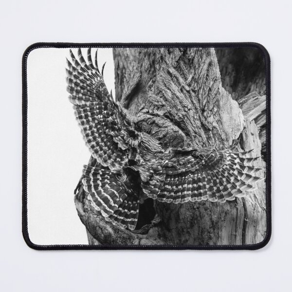 Item preview, Mama Barred owl rushing in to feed its babies designed and sold by Puttaswamy Ravishankar.
