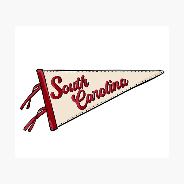 Item preview, Vintage South Carolina Pennant Flag designed and sold by Alexandra Jones.