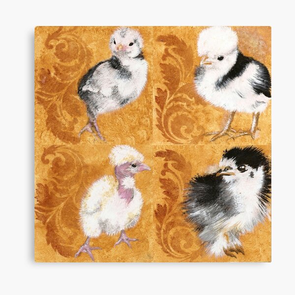 Baby chickens!   Canvas Print