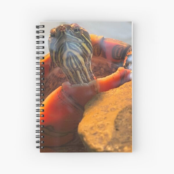 Item preview, Confidence designed and sold by deedlesmcgee.