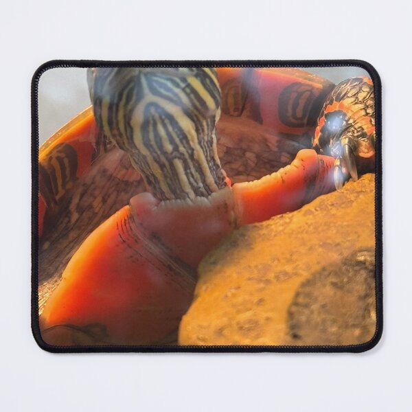 Item preview, Confidence designed and sold by deedlesmcgee.