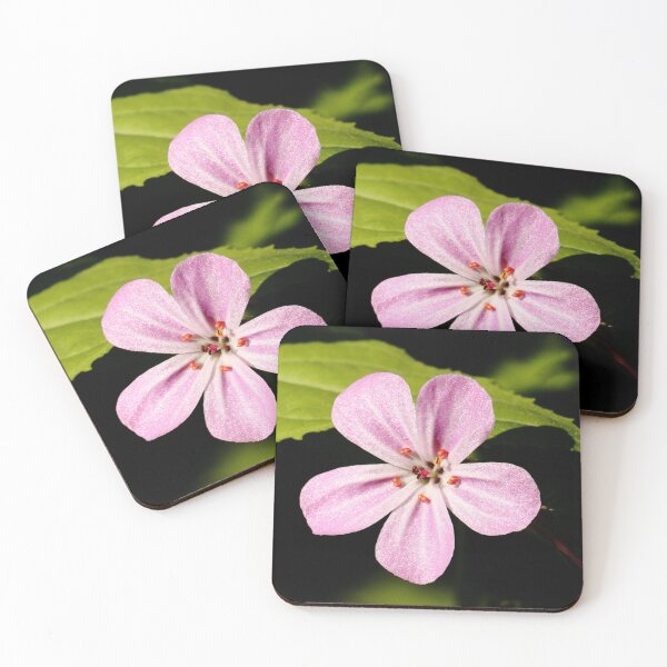 Item preview, Herb Robert designed and sold by Bird22Shot.