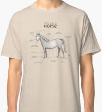 Anatomy of a Horse Classic T-Shirt