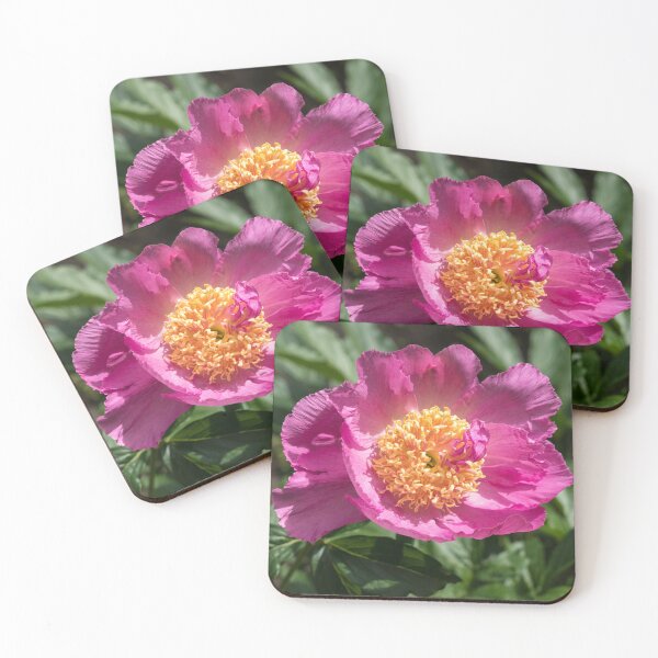 Item preview, One Very Showy Peony Flower in Splendid Pink designed and sold by Georgia Mizuleva.