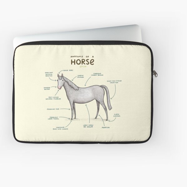 Aperçu de l'œuvre Anatomie d'un cheval créée et vendue par SophieCorrigan.