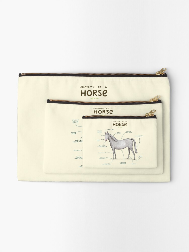 Alternate view of Anatomy of a Horse Zipper Pouch
