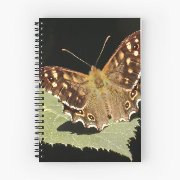 Item preview, Speckled Wood Butterfly designed and sold by Bird22Shot.