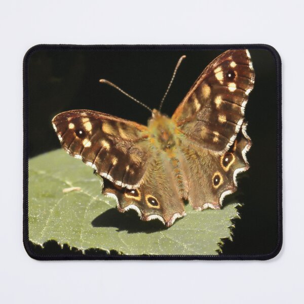 Item preview, Speckled Wood Butterfly designed and sold by Bird22Shot.