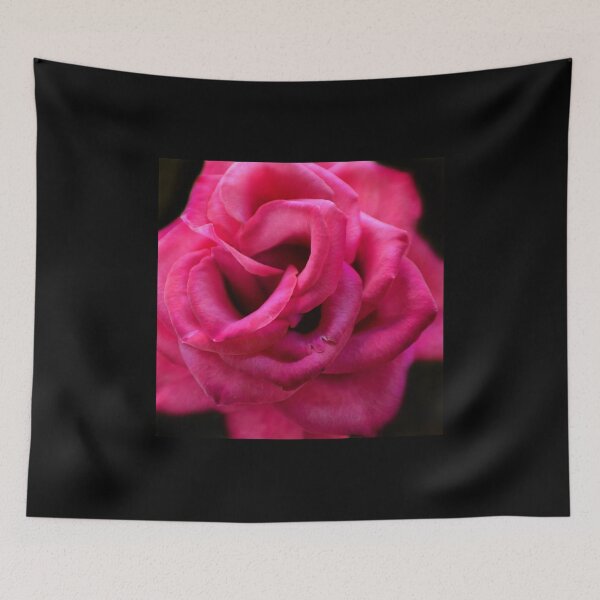 Item preview, A rose is a rose.....or is it? designed and sold by hjcphotography.