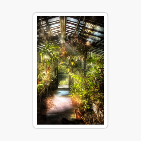 Item preview, In the greenhouse designed and sold by Mike Savad Photography.