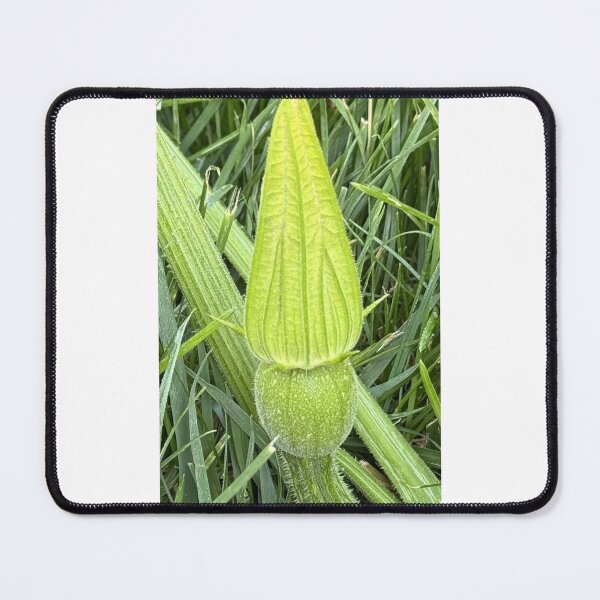 Item preview, Proud designed and sold by deedlesmcgee.