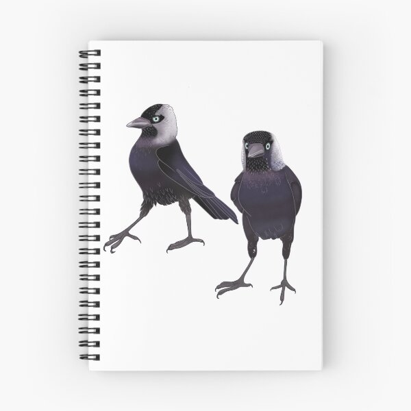 Item preview, Eurasian Jackdaw Liam and Noel designed and sold by Naty Design Prague.
