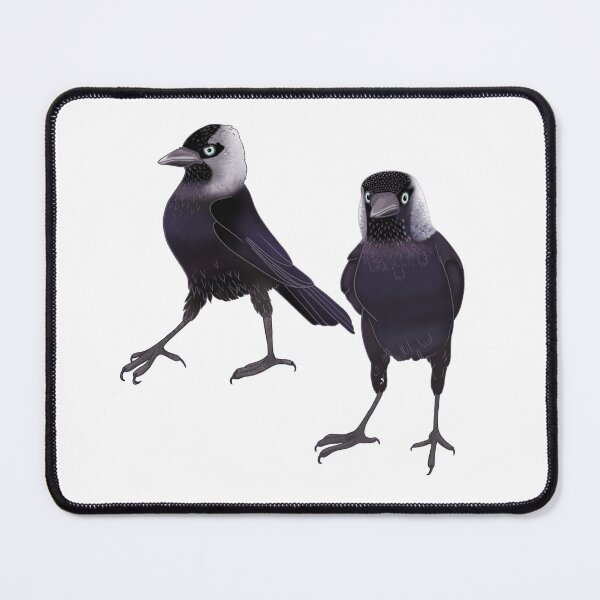 Item preview, Eurasian Jackdaw Liam and Noel designed and sold by Naty Design Prague.