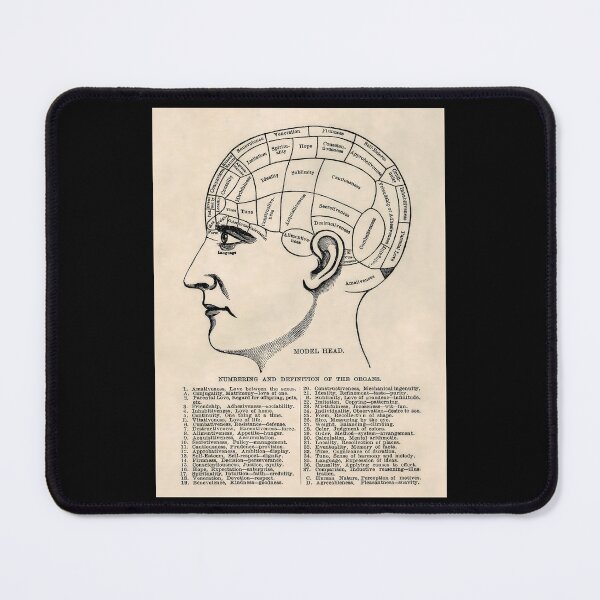 Item preview, Phrenology Head designed and sold by Angry Swan Designs.