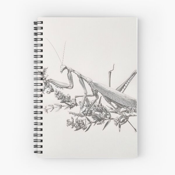 Item preview, Black and white Matins pencil drawing designed and sold by Pencil-Art.
