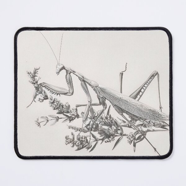 Item preview, Black and white Matins pencil drawing designed and sold by Pencil-Art.
