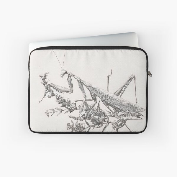Item preview, Black and white Matins pencil drawing designed and sold by Pencil-Art.