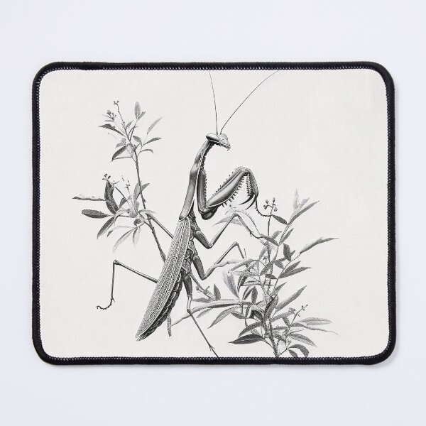 Item preview, Black and white Matins pencil drawing designed and sold by Pencil-Art.