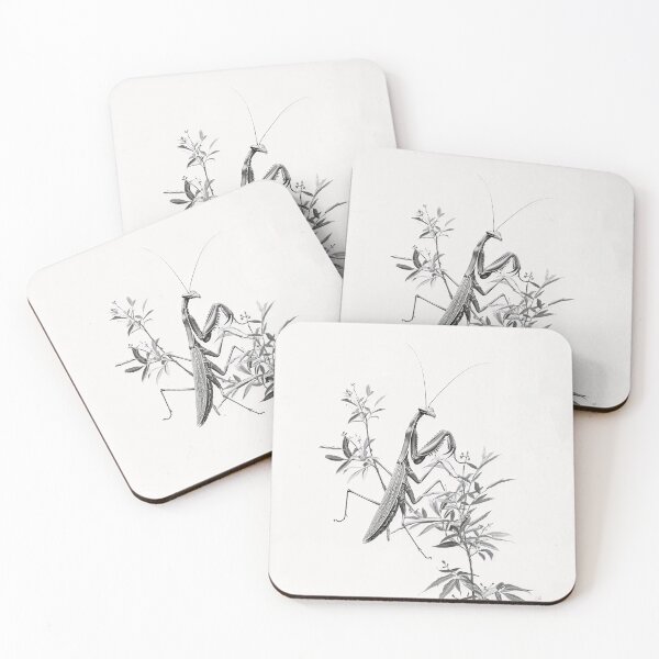 Item preview, Black and white Matins pencil drawing designed and sold by Pencil-Art.