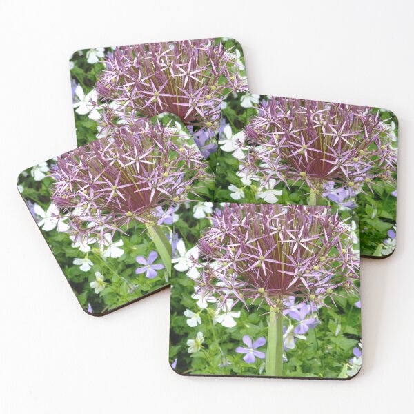 Item preview, Ornamental Allium designed and sold by pinkal.