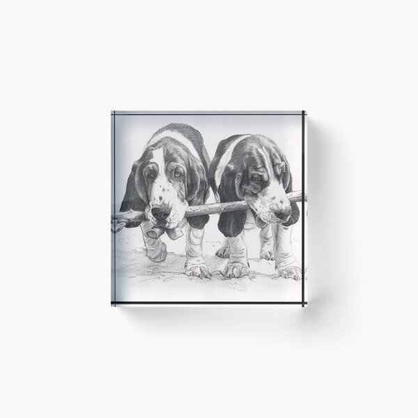 Item preview, Black and white Bloodhound pencil drawing designed and sold by Pencil-Art.