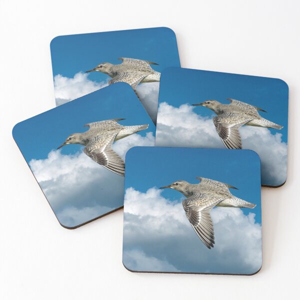 Item preview, Red Knot in Flight designed and sold by Tom McPherson Photography.