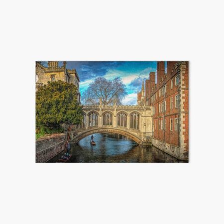 THE BRIDGE OF SIGHS Art Board Print