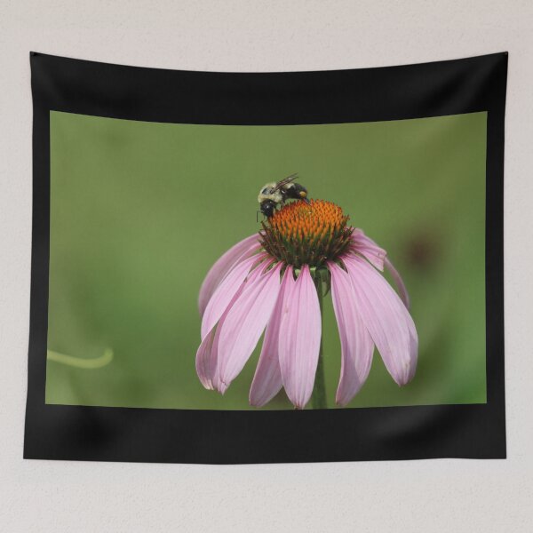 Item preview, Echinacea Pollination designed and sold by LisaNaturePhoto.