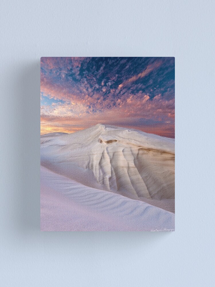 Alternate view of Delicate Canvas Print