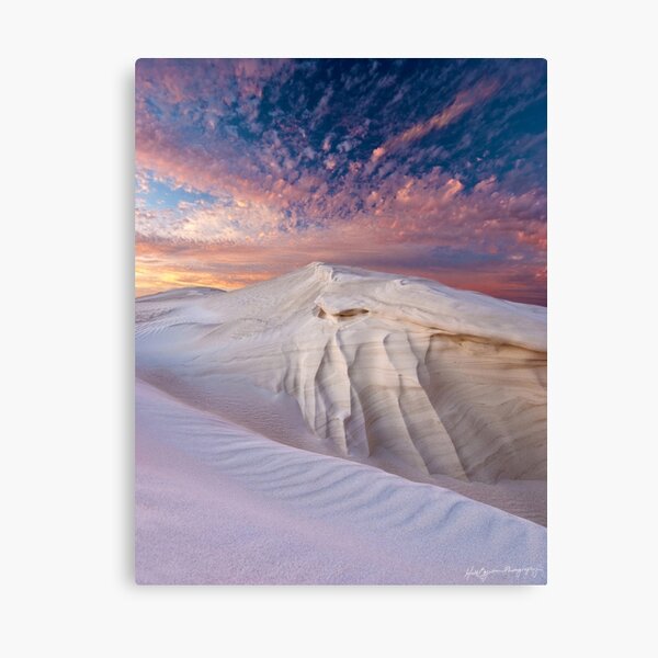 Delicate Canvas Print