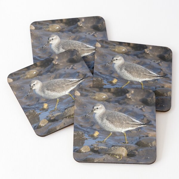 Item preview, Red Knot in Mud designed and sold by Tom McPherson Photography.