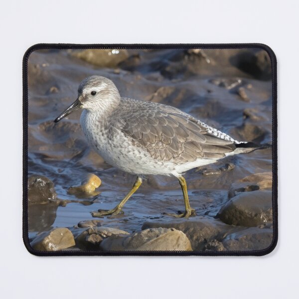 Item preview, Red Knot in Mud designed and sold by Tom McPherson Photography.