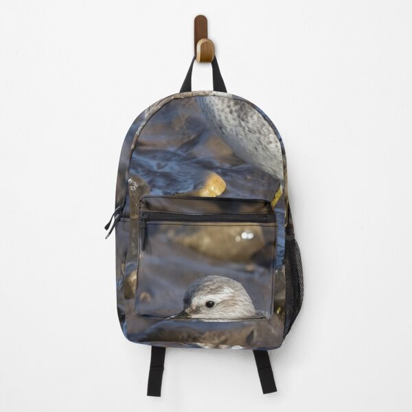 Item preview, Red Knot in Mud designed and sold by Tom McPherson Photography.