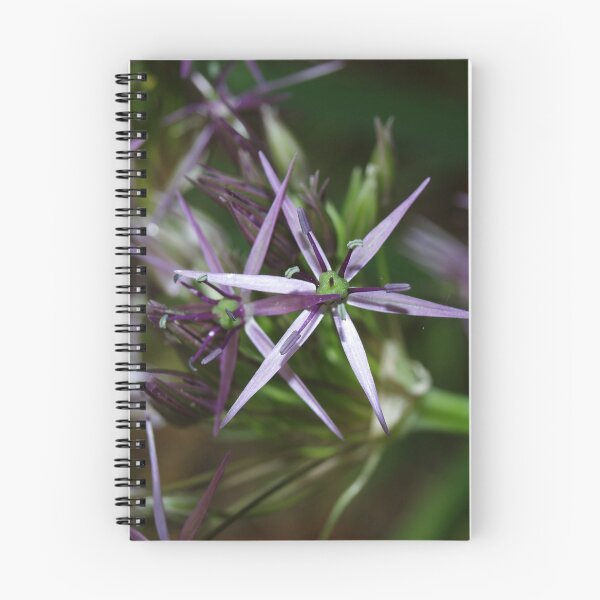 Item preview, Allium designed and sold by Jestermind.