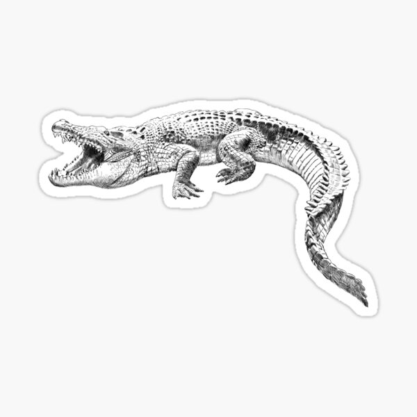 crocodile Sticker