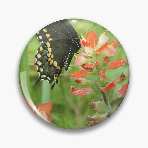 Artikelvorschau, Schwalbenschwanz-Schmetterling auf Indian Paintbrush entworfen und verkauft von HematiteDesign.