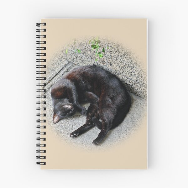 Artikelvorschau, Schwarze Katze, entspann dich!! entworfen und verkauft von lKurolAkiral.