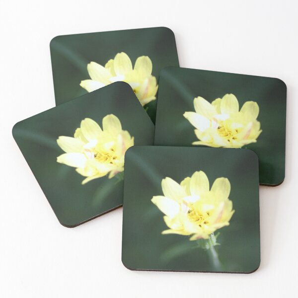 Item preview, Cactus Blossom in Yellow designed and sold by HematiteDesign.